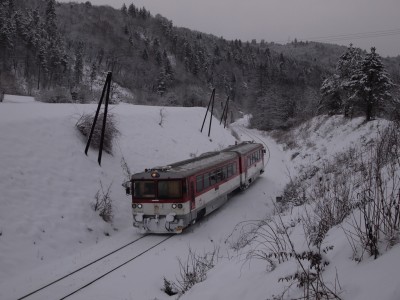 Zobrazi� cel� fotku