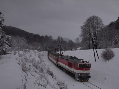 Zobrazi� cel� fotku