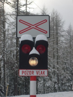 Zobrazi� cel� fotku