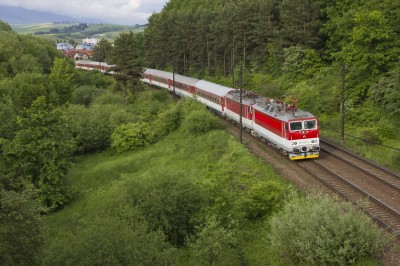 Zobrazi� cel� fotku