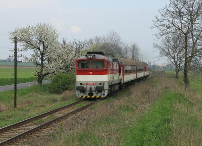 Zobrazi� cel� fotku