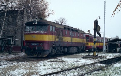 Zobrazi� cel� fotku