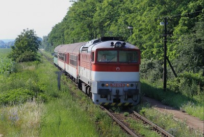 Zobrazi� cel� fotku