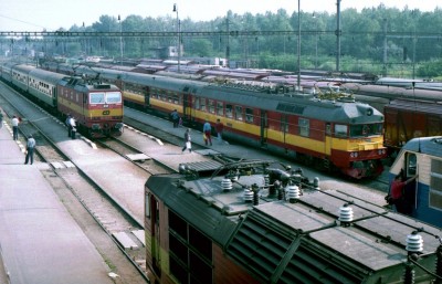 Zobrazi� cel� fotku