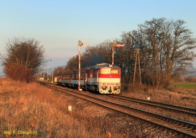 Zobrazi� cel� fotku