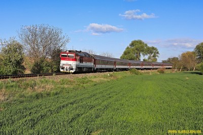 Zobrazi� cel� fotku