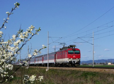 Zobrazi� cel� fotku