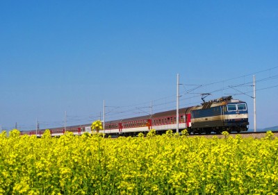 Zobrazi� cel� fotku