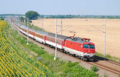 Zobrazi� cel� fotku