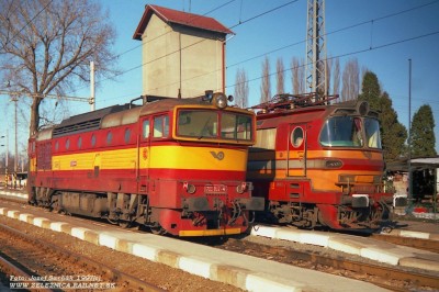 Zobrazi� cel� fotku