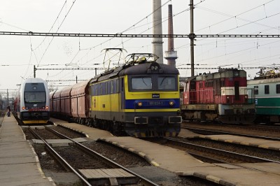 Zobrazi� cel� fotku