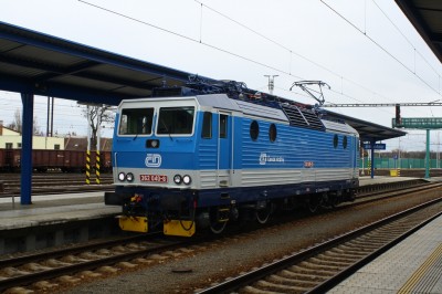 Zobrazi� cel� fotku