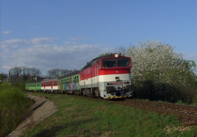 Zobrazi� cel� fotku
