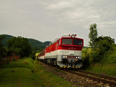 Zobrazi� cel� fotku