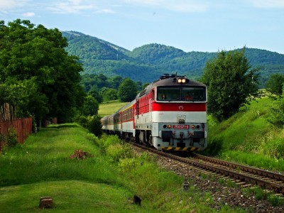 Zobrazi� cel� fotku