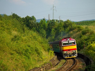 Zobrazi� cel� fotku