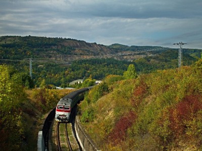 Zobrazi� cel� fotku