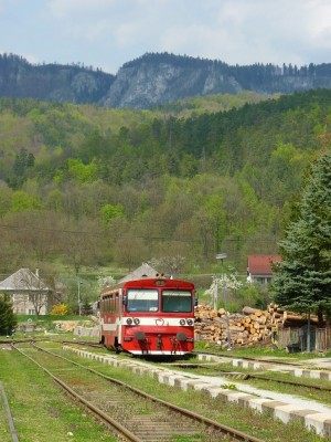 Zobrazi� cel� fotku