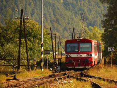 Zobrazi� cel� fotku