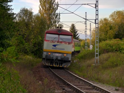 Zobrazi� cel� fotku