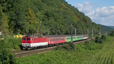 Zobrazi� cel� fotku