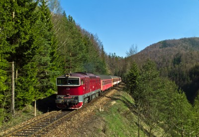 Zobrazi� cel� fotku