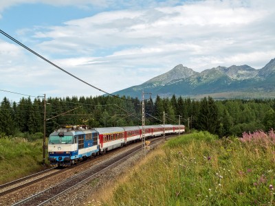 Zobrazi� cel� fotku