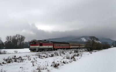 Zobrazi� cel� fotku