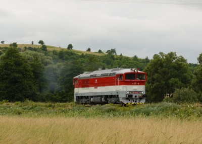 Zobrazi� cel� fotku