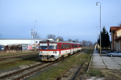 Zobrazi� cel� fotku