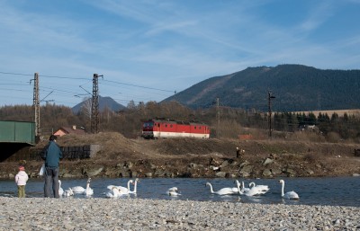 Zobrazi� cel� fotku