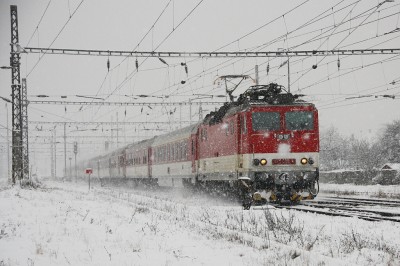 Zobrazi� cel� fotku