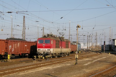 Zobrazi� cel� fotku