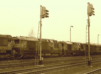 Zobrazi� cel� fotku