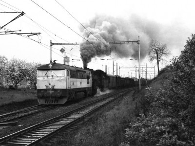 Zobrazi� cel� fotku