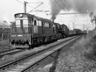 Zobrazi� cel� fotku