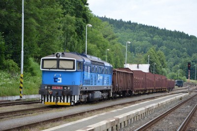 Zobrazi� cel� fotku
