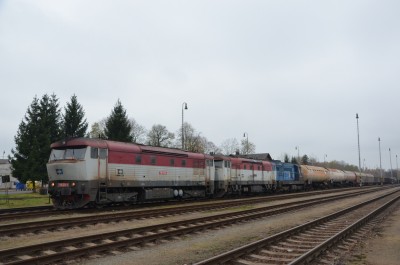 Zobrazi� cel� fotku