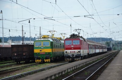Zobrazi� cel� fotku