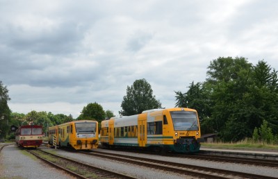 Zobrazi� cel� fotku