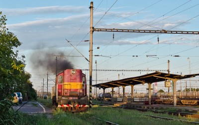 Zobrazi� cel� fotku