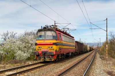 Zobrazi� cel� fotku