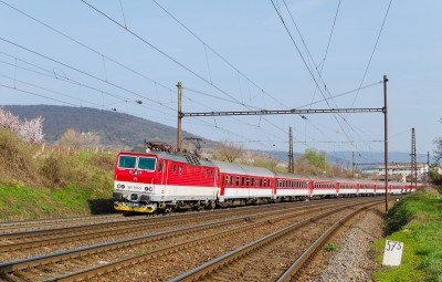 Zobrazi� cel� fotku