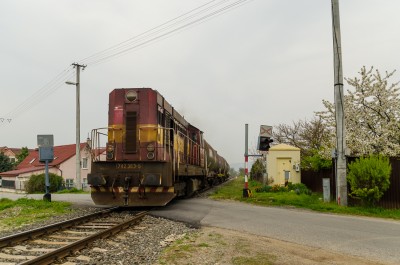 Zobrazi� cel� fotku