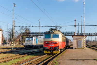 Zobrazi� cel� fotku