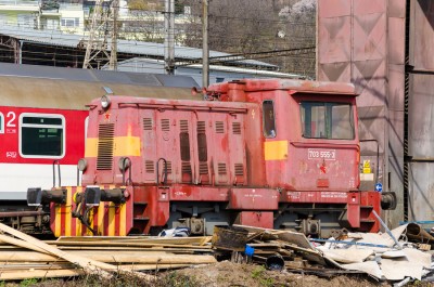 Zobrazi� cel� fotku