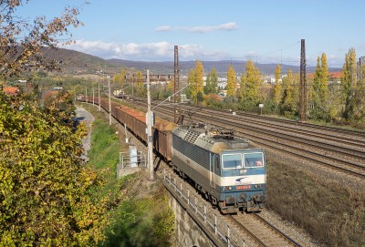 Zobrazi� cel� fotku