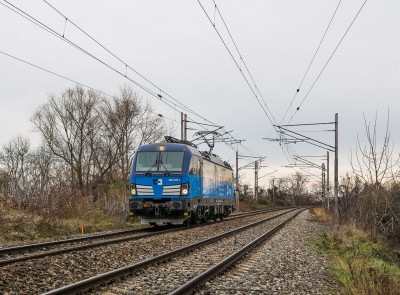 Zobrazi� cel� fotku