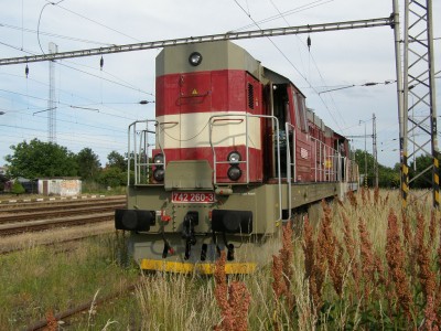 Zobrazi� cel� fotku