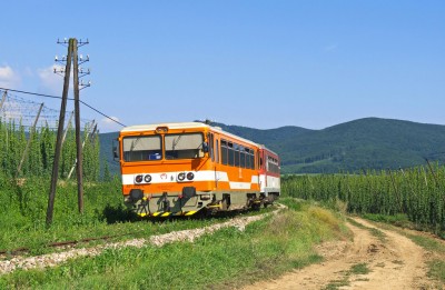 Zobrazi� cel� fotku